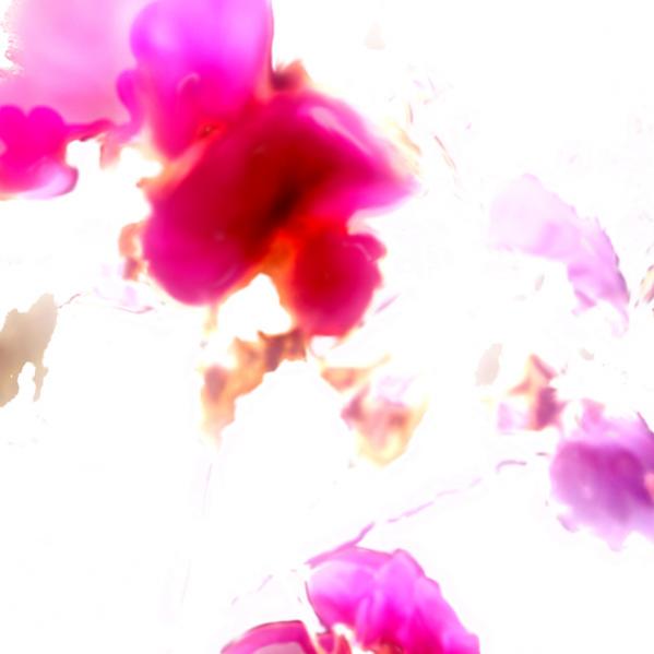 floral1 - Syl - Click to enlarge