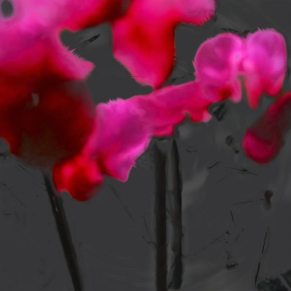 floral2 - Syl - Click to enlarge