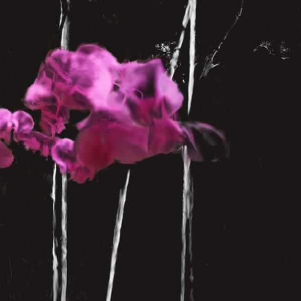 floral3 - Syl - Cliquer pour afficher en grand