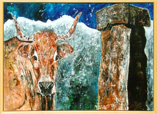 cow in pyrenees spain - Annette Steens