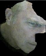 Wladimir Guglinski - Accès à la galerie