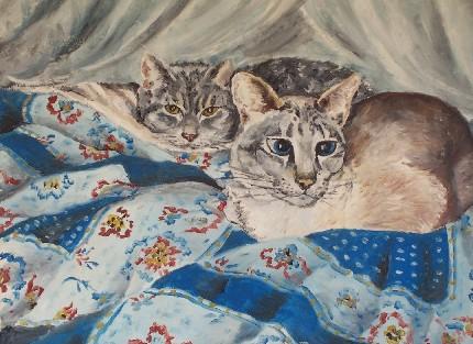 Chats - Marie Noëlle Archambault