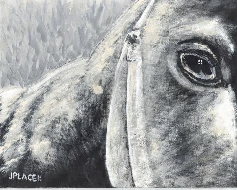 Horse See - Joshua Placek