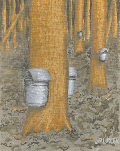 Maple Sugaring - Joshua Placek
