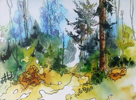 Forêt oubliée - Abby