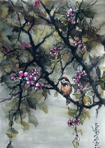 Moineau de mon jardin - Abby