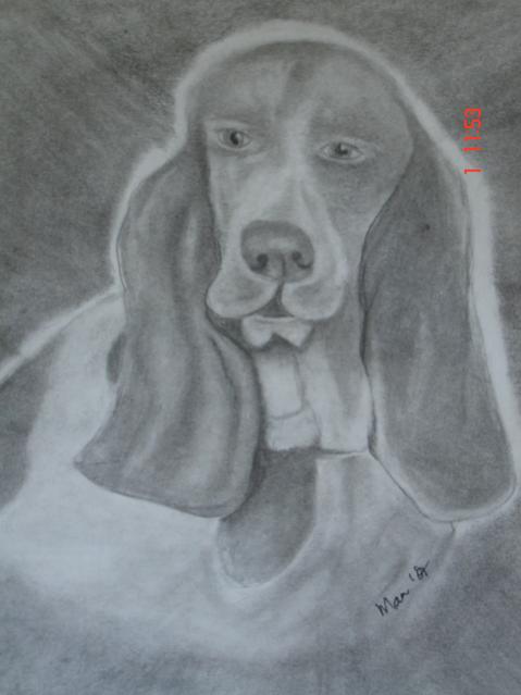 Beagle I - Maureen Blakeley