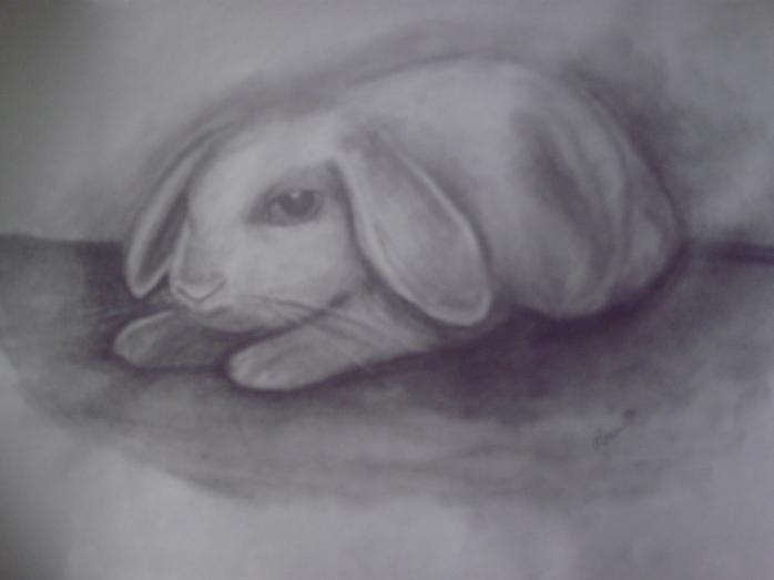 Rabbit I - Maureen Blakeley - Cliquer pour afficher en grand