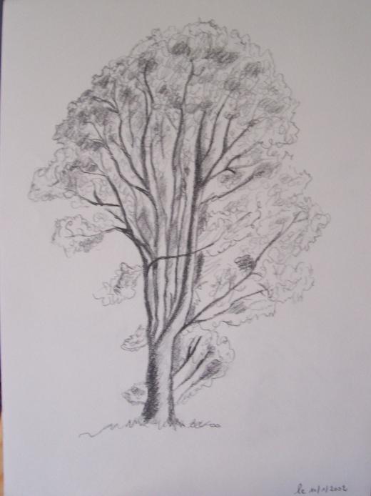 Un arbre - Nicole Pin