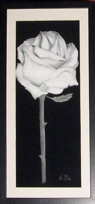 Fleur - la rose blanche - Nicole Pin