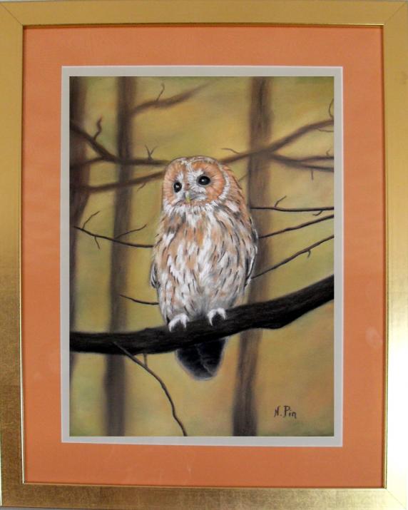 Oiseaux - Chouette hulotte - Nicole Pin