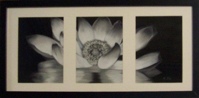 Fleur - Lotus aux reflets - Nicole Pin - Click to enlarge
