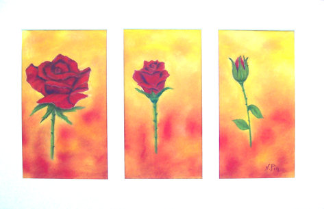 Fleurs : Naissance d'une rose - Nicole Pin