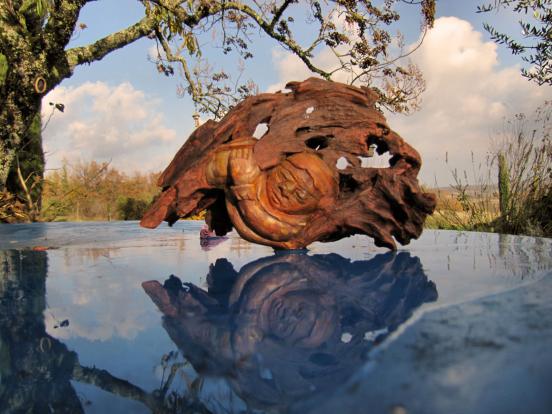 Réflexion - Jean-Luc Cloux