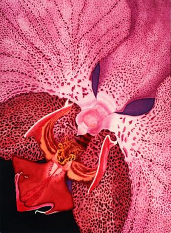Purple orchid 001 - Lu TORRALBA - Lu Torralba