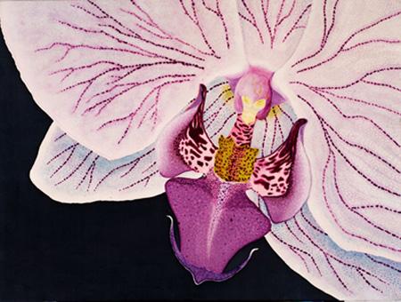 Ciber orchid 002 - Lu TORRALBA - Lu Torralba