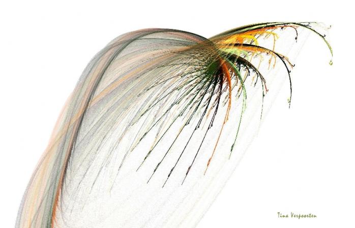 Aile3 - Tina Verpoorten - Click to enlarge