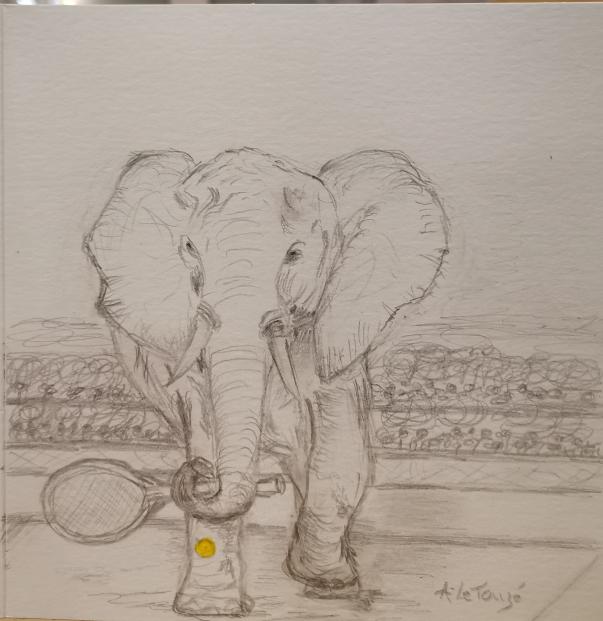 TENIS-ELEPHANT - Alain Letouzé - Cliquer pour afficher en grand