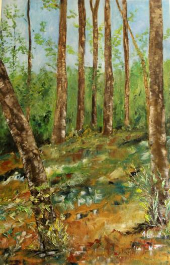 FORET DE GRIMBOSQ. - Alain Letouzé