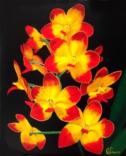 Fuchs Sunset -  Vandaceous Hybrid Orchids - Carlos Lau