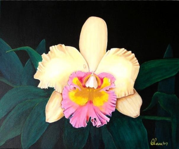 Orchidglade - Cattleya Orchid - Carlos Lau - Cliquer pour afficher en grand
