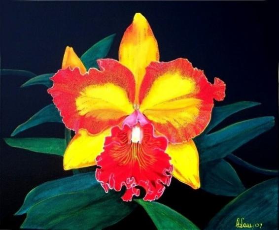 Dixie Hummingbird - Cattleya Orchid - Carlos Lau