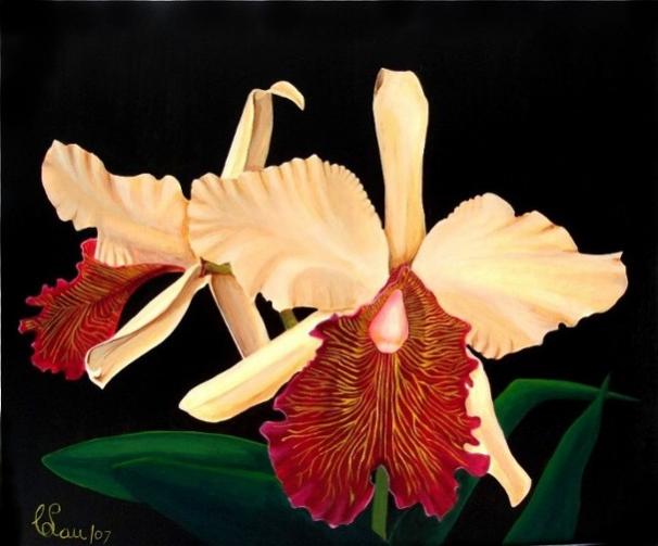 Cattleya - Dowiana - Orchids - Carlos Lau - Cliquer pour afficher en grand