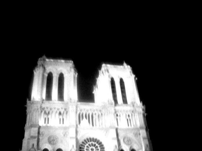 Holy bird - Alec Blitze - Cliquer pour afficher en grand