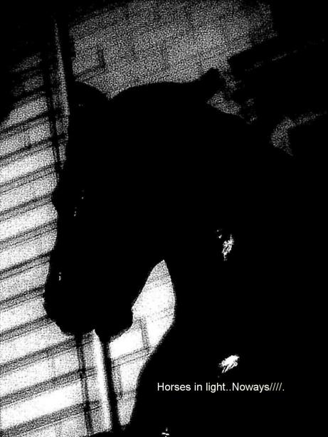 Horsing Quest - Alec Blitze