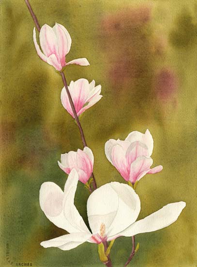 Magnolia - Béatrice David