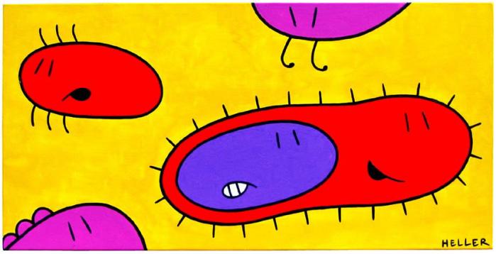 Protozorus vivipare - Laurent Heller - Cliquer pour afficher en grand