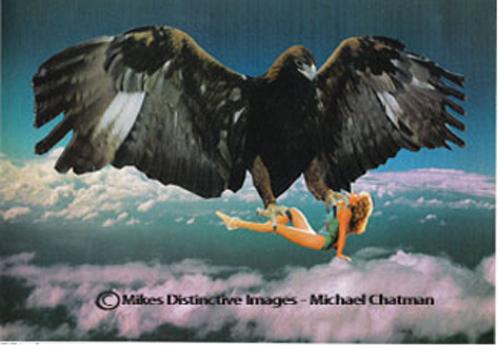 Soaring Through the Skies - Michael Chatman