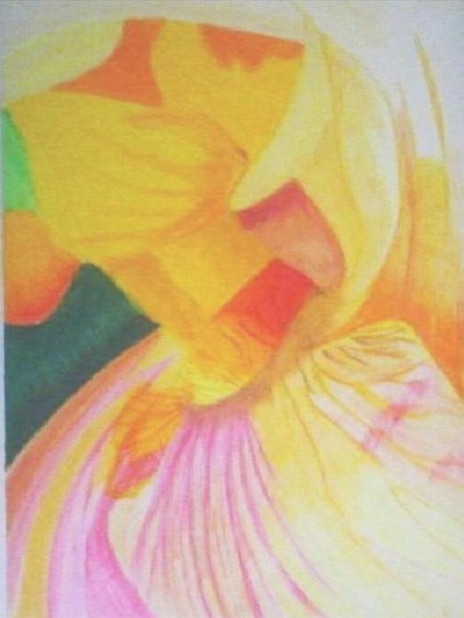makro d'un Iris - Patrick Mahieu
