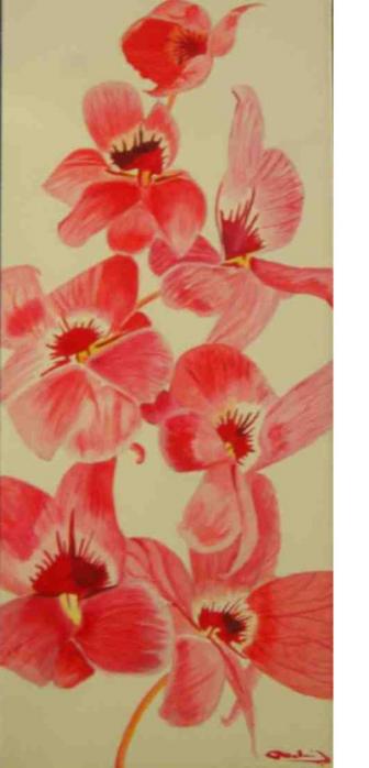 Rouge - Patrick Mahieu