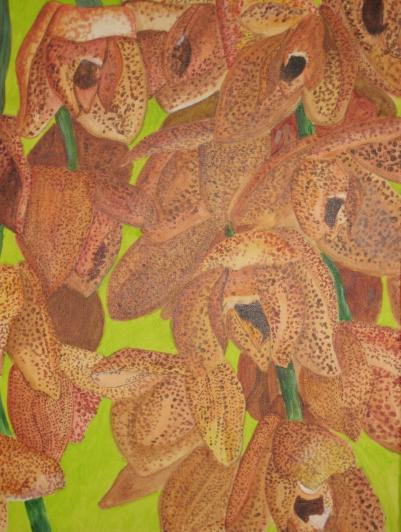 Orchidée III - Patrick Mahieu