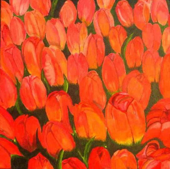Tulipes - Patrick Mahieu