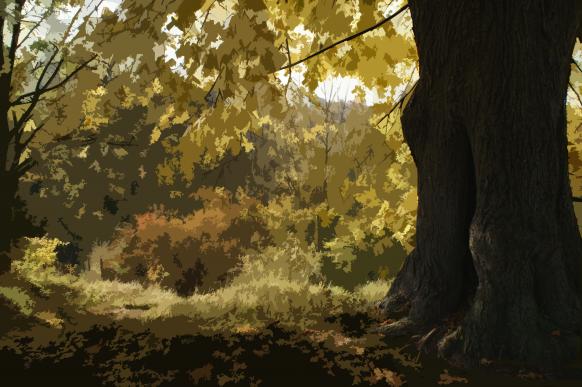 couleurs d'automne - Jean-Pierre Pollaert - Cliquer pour afficher en grand