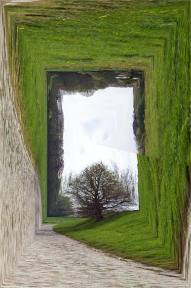 carré de verdure - Jean-Pierre Pollaert