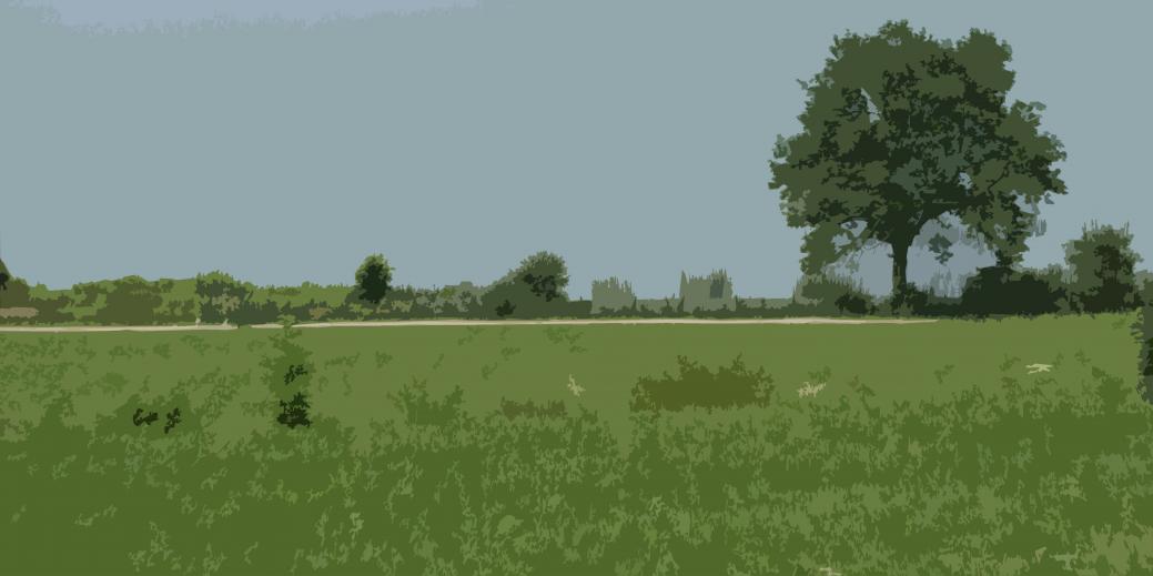 verte campagne - Jean-Pierre Pollaert - Cliquer pour afficher en grand
