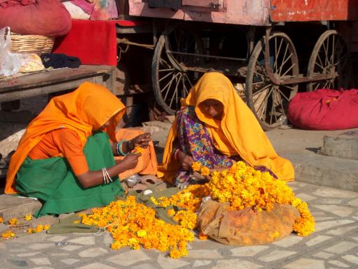 india - Patrick Rorke