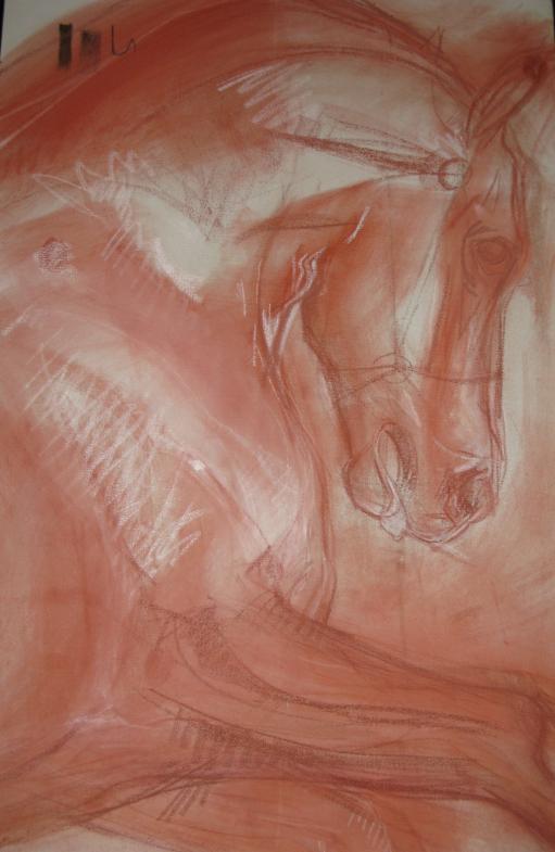 CHEVAL  esquisse - Marteen Olivier Vigroux