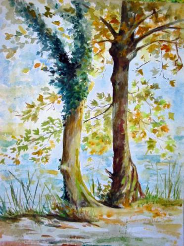AUTOMNE  aux ETANGS Ville d'Avray - Marteen Olivier Vigroux