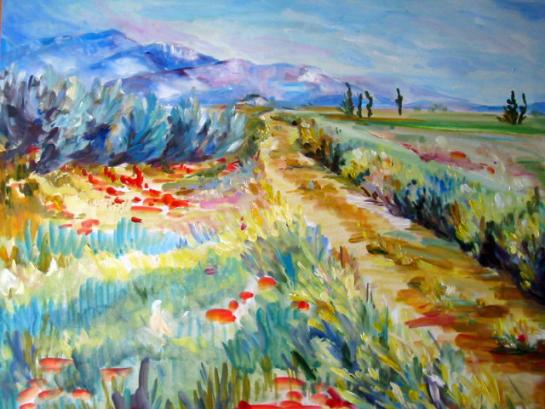 PROVENCE - Chemin - Marteen Olivier Vigroux