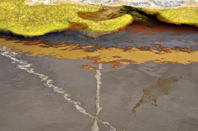 Abstractions 1 - Christian Simon - Click to enlarge