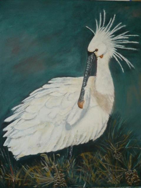 Spatule en baie de Somme - Christine Bataille