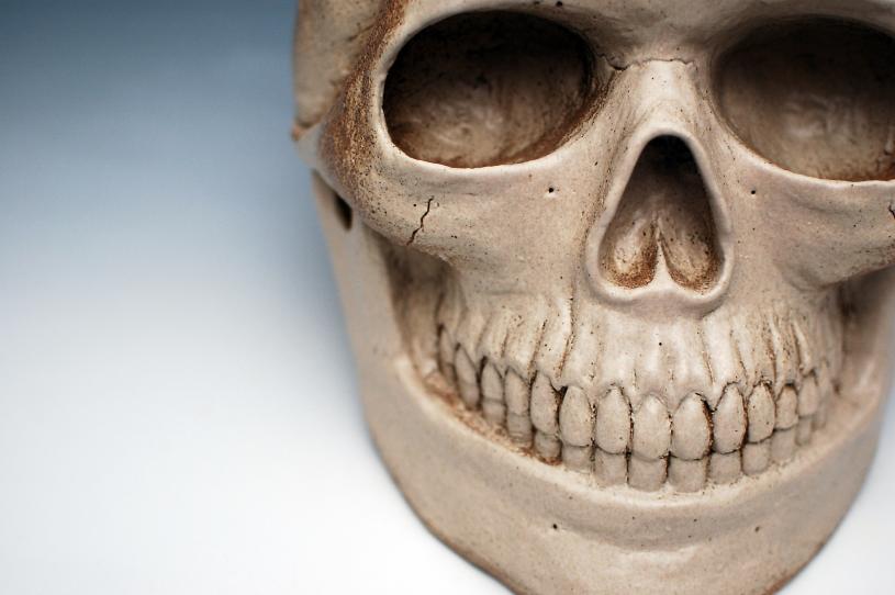 Vanitas (detail) - Grace Chen - Cliquer pour afficher en grand