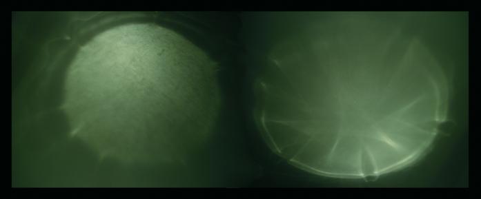 eyes of light - Cécile Collard - Click to enlarge