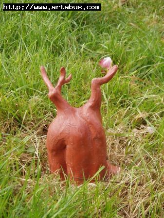 minibaobab - Anita Loisel