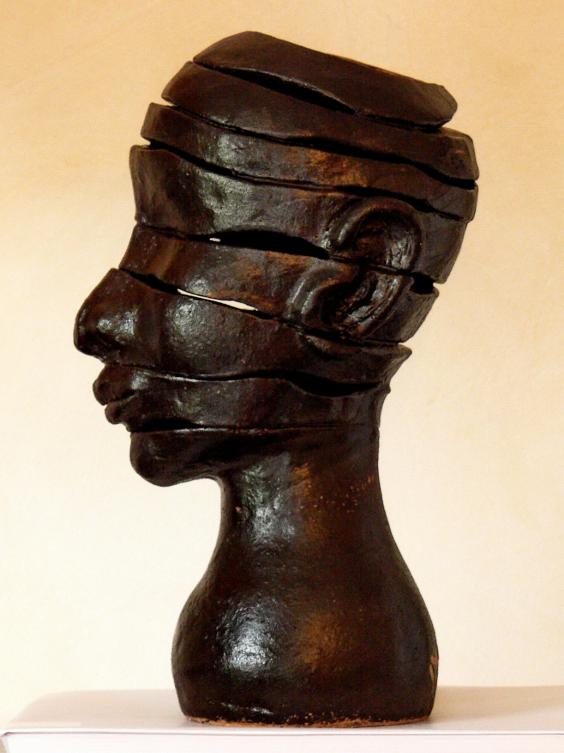 DECHIRURE - Anita Loisel