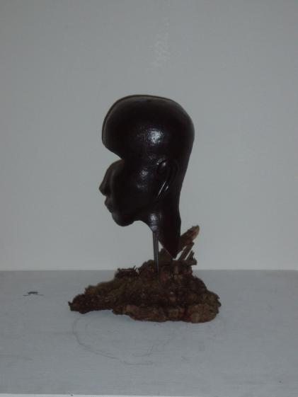 TERRE DE MES ANCETRES - Anita Loisel